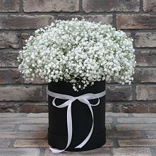 Цветочная композиция из Гипсофила в шляпной коробке #REPLACE_PRED# Воскресенском новая Москва