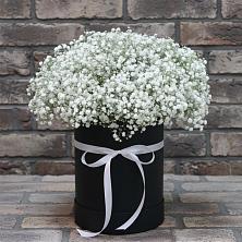 Цветочная композиция из Гипсофила в шляпной коробке в Воскресенском новая Москва