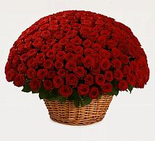 Премиум букет из: Розы в Воскресенском новая Москва